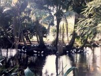 photos 2000-200900083